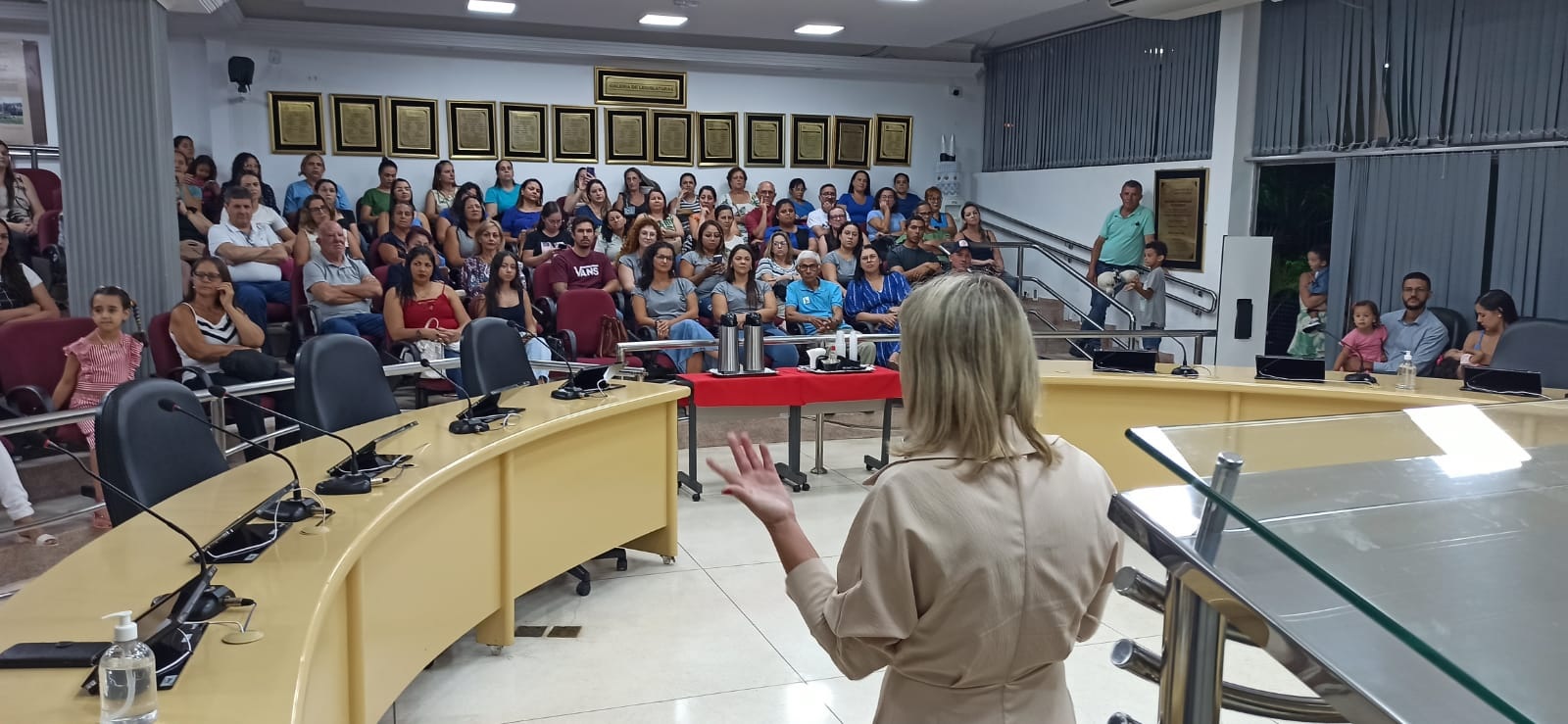 Lilliane Zanin durante palestra. (Imagem: Denílson Lopes)